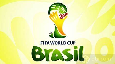 2014年巴西世界杯