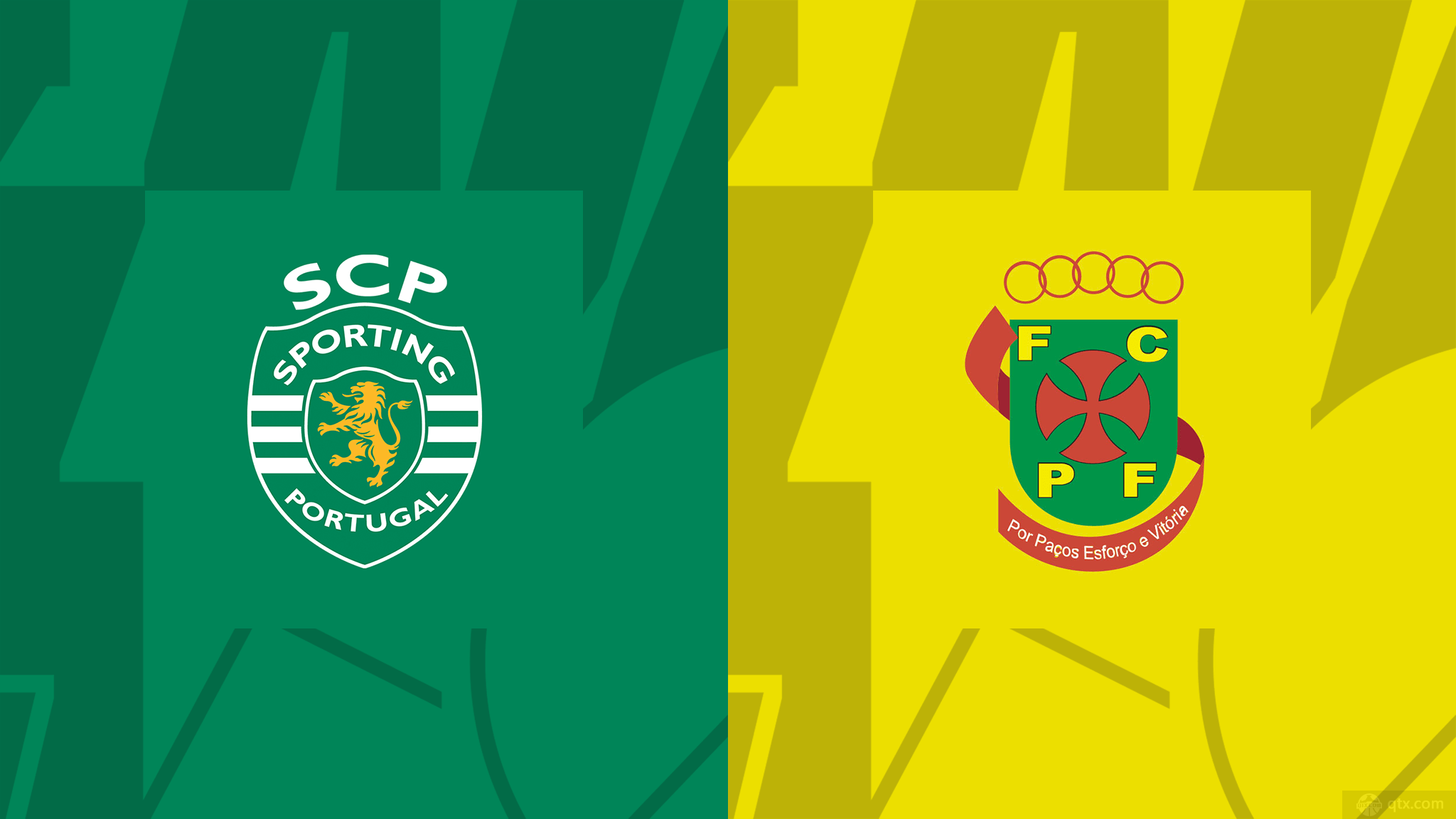 葡萄牙体育vs费雷拉