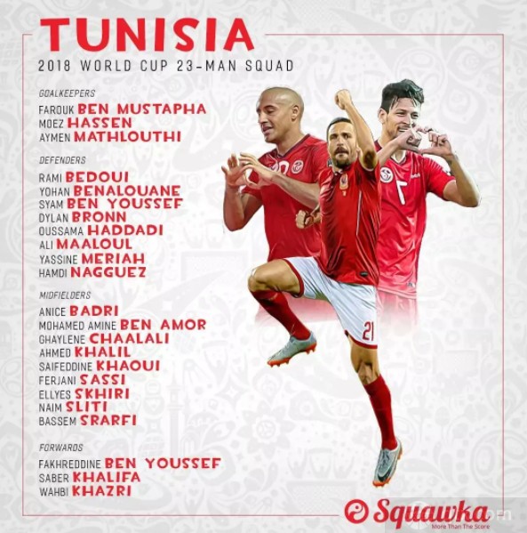 突尼斯2018年世界杯阵容
