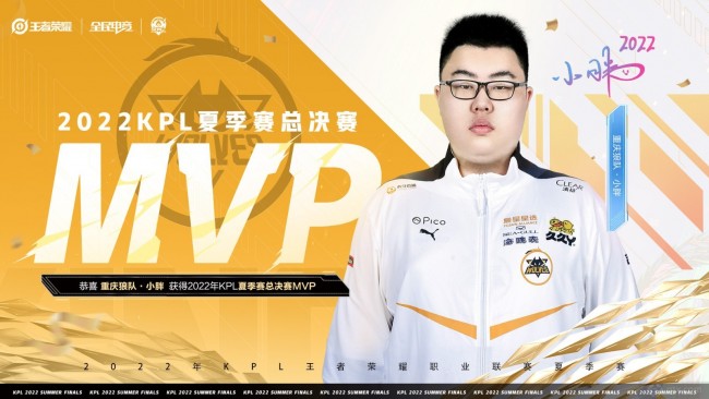小胖获得MVP选手