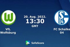 德甲沃尔夫斯堡VS沙尔克04比分预测 狼堡起伏较大沙尔克04阵容欠磨合