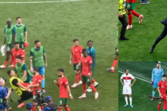 葡萄牙比赛后球迷冲入球场 贡萨洛拉莫斯被保安铲倒