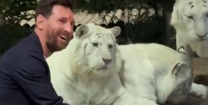 梅西印度参观动物园，与狮子长颈鹿等动物互动