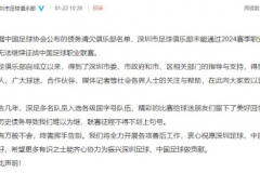 深圳队宣布解散 曾经的中超冠军轰然倒下