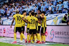 媒体：青岛市可全权负责海牛股改 打造足球城