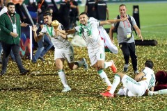 阿尔及利亚进过世界杯吗 非洲劲旅值得关注