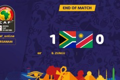 非洲杯南非1-0纳米比亚 宗古头槌破门