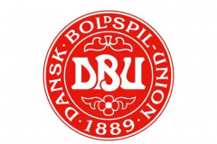 丹麥曆屆歐洲杯名次表 1992年歐洲杯曾獲得冠軍