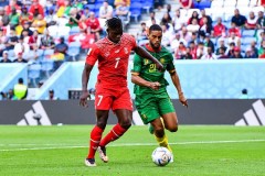 137名球员不代表出生国征战世界杯 恩博洛推射破门击败喀麦隆