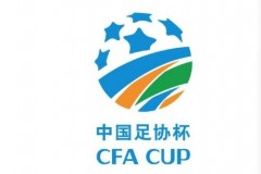 王哲将担任足协杯决赛主裁判 第四官员由张雷担任