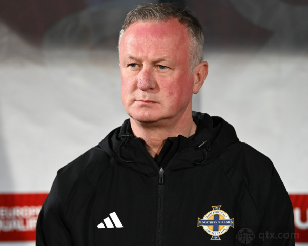 北爱尔兰主帅