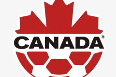 2022年加拿大世界杯小组赛赛程 先后对战比利时、克罗地亚、摩洛哥