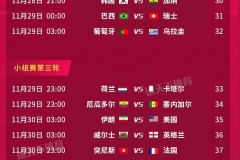 卡塔尔世界杯哪天开始 将在今年11月份开始