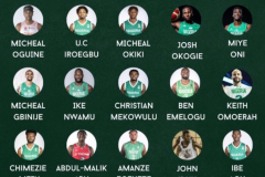 尼日利亚世预赛大名单 梅图领衔迈克布朗带队