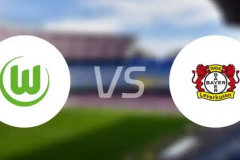 德甲沃尔夫斯堡VS勒沃库森预测 沃尔夫斯堡至今联赛主场未尝胜绩