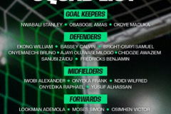 尼日利亚公布11月世预赛名单 球队本月征战非洲区附加赛