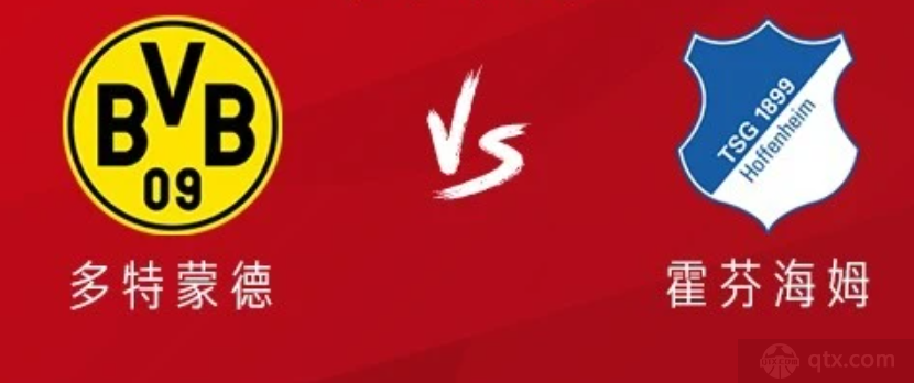 德甲多特蒙德VS霍芬海姆预测分析