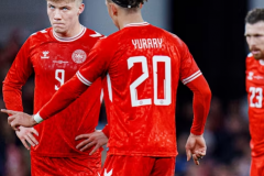 丹麦vs瑞典的潜在首发阵容 双方赛前公布球队伤停情况