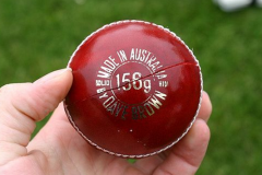 Cricket Ball Weight and Size Explained: A Complete Guide for Beginners