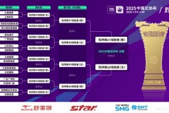 足协杯16强最新对阵赛程图表 上海双雄提前相遇
