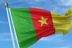 非洲杯喀麦隆VS加蓬预测 喀麦隆本届赛事的目标直指冠军