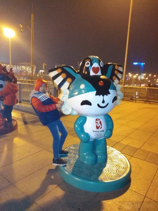 北京举旗吉祥物图片