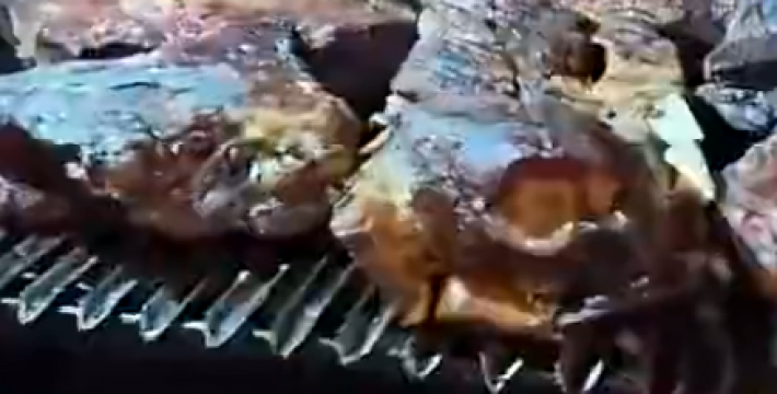 这伙食真没得说，大马丁晒阿根廷队内烤肉视频