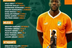 科特迪瓦公布非洲杯大名单 恩迪卡、奥利耶等球员入选