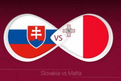捷克对阵马耳他前瞻 欧洲杯赛前热身
