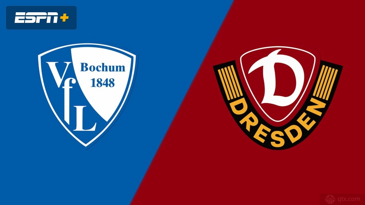 波鸿VS德累斯顿