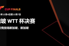 樊振东4-1张本智和 夺得2021WTT世界杯决赛男单冠军