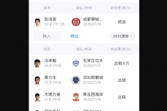 2025成都蓉城夏窗汇总：只引入彭浩宸一人 廖力生等5人转出