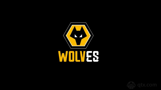 狼队正式接触米德尔斯堡主帅