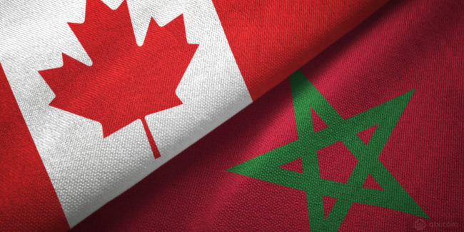 加拿大VS摩洛哥