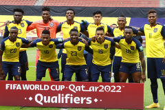2021美洲杯巡礼之厄瓜多尔：三线均衡年龄结构合理 厄瓜多尔为黑马候选