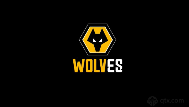 加里-奥尼尔退出狼队选帅行列