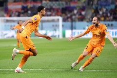 世界杯半场战报：荷兰1-0厄瓜多尔 加克波世界波+连场破门