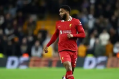 AC米兰有意戈麦斯 希望在冬季转会窗完成交易