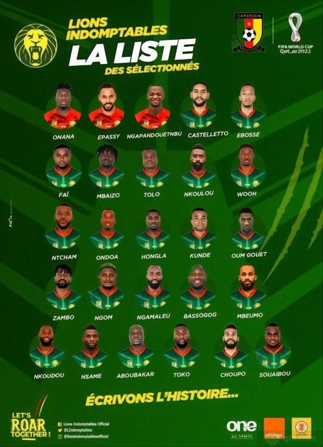 喀麦隆世界杯大名单