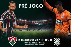 巴西杯弗鲁米嫩塞VS费古埃伦斯高清直播
