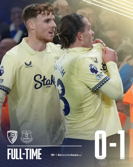 伯恩茅斯0-1埃弗顿