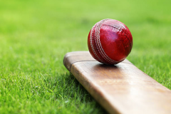 What is Power Play in Cricket? Learn more about its rules and importance