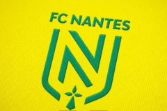 法甲里昂VS南特预测分析 里昂主场分胜负非常分明