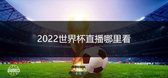 2022世界杯直播哪里看?