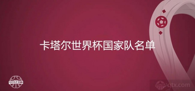 卡塔尔世界杯国家队名单