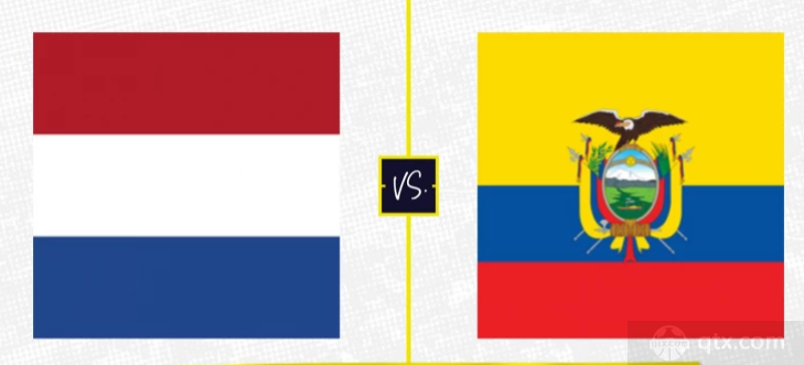 荷兰VS厄瓜多尔