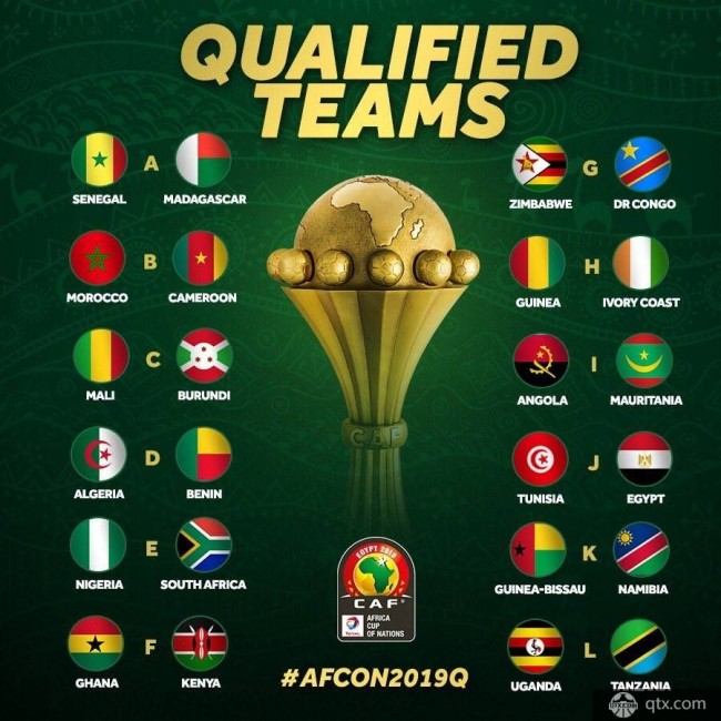2019年非洲杯参赛球队