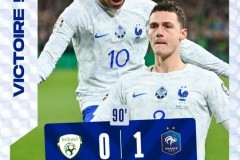 欧预赛法国1-0爱尔兰取两连胜 帕瓦尔世界波