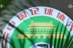 中国足协近3天面试主帅候选 国足计划下个月重组