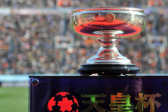 天皇杯德岛漩涡vs仙台七夕预测分析 两支球队都征战于J2联赛